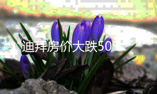 “迪拜房价大跌50%”？不属实！部分中东家族办公室已火速赴港，全球投资者的置业逻辑变了？