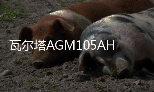 瓦尔塔AGM105AH启停蓄电池奥迪A6L/A7/A8L/宝马5系7系/X5汽车电瓶