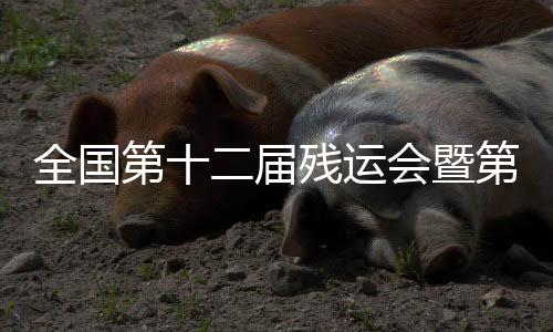 全国第十二届残运会暨第九届特奥会高山滑雪比赛将在乌鲁木齐举办