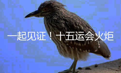 一起见证!十五运会火炬传递启动仪式在深圳举行