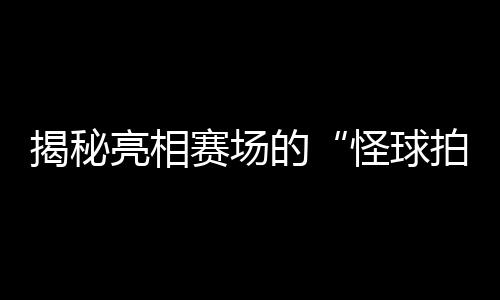 揭秘亮相赛场的“怪球拍”:瑞典选手的球拍为何是六边形?