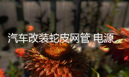 汽车改装蛇皮网管 电源线套管 编织管 线材保护网管音响线外网