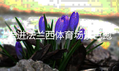 走进法兰西体育场紫色跑道，千分秒之差何以呈现？