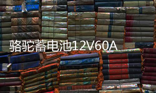 骆驼蓄电池12V60AH汽车电瓶L2400适配大众POLO宝来朗逸标致领克02